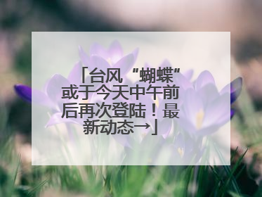 台风“蝴蝶”或于今天中午前后再次登陆！最新动态→