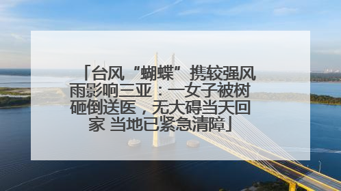 台风“蝴蝶”携较强风雨影响三亚：一女子被树砸倒送医，无大碍当天回家 当地已紧急清障