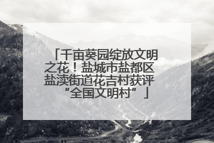 千亩葵园绽放文明之花！盐城市盐都区盐渎街道花吉村获评“全国文明村”
