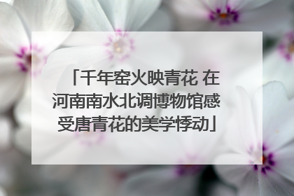 千年窑火映青花 在河南南水北调博物馆感受唐青花的美学悸动