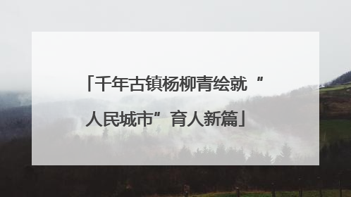 千年古镇杨柳青绘就“人民城市”育人新篇