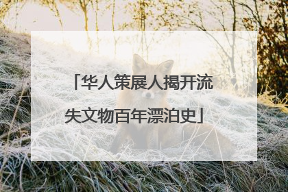华人策展人揭开流失文物百年漂泊史