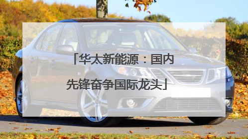 华太新能源：国内先锋奋争国际龙头