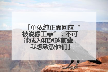 单依纯正面回应“被说像王菲”：不可能成为和超越前辈，我想致敬他们