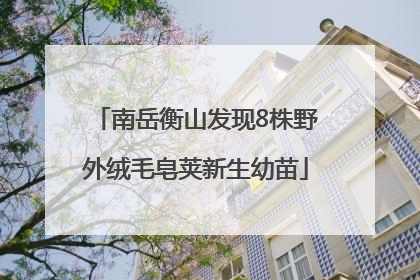 南岳衡山发现8株野外绒毛皂荚新生幼苗