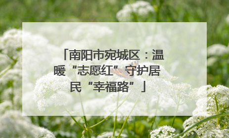 南阳市宛城区：温暖“志愿红”守护居民“幸福路”