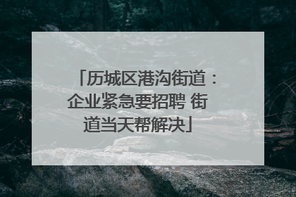 历城区港沟街道：企业紧急要招聘 街道当天帮解决