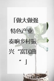 做大做强特色产业 奏响乡村振兴“富民曲”