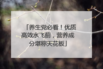 养生党必看！优质高效水飞蓟，营养成分堪称天花板