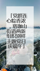 党群连心粽香浓，珞珈山街道两新组织别样主题党日庆端午