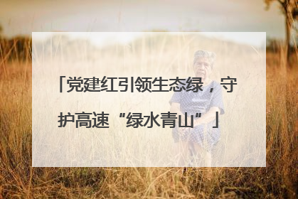党建红引领生态绿，守护高速“绿水青山”