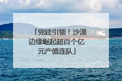 党建引领！沙漠边缘崛起超百个亿元产值连队