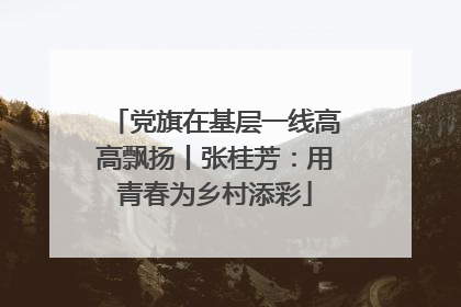 党旗在基层一线高高飘扬丨张桂芳：用青春为乡村添彩