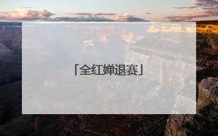 全红婵退赛