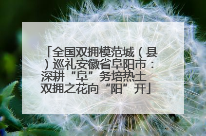 全国双拥模范城（县）巡礼安徽省阜阳市：深耕“阜”务培热土 双拥之花向“阳”开