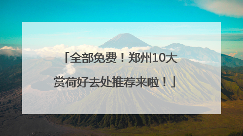 全部免费！郑州10大赏荷好去处推荐来啦！