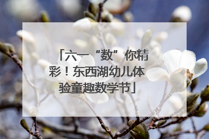 六一“数”你精彩！东西湖幼儿体验童趣数学节