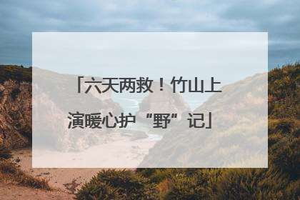 六天两救！竹山上演暖心护“野”记