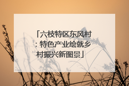 六枝特区东风村：特色产业绘就乡村振兴新图景