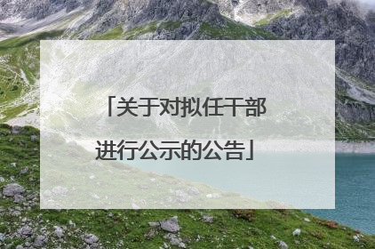 关于对拟任干部进行公示的公告