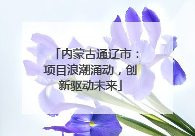 内蒙古通辽市：项目浪潮涌动，创新驱动未来