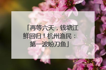 再等六天，钱塘江鲜回归！杭州渔民：第一波盼刀鱼