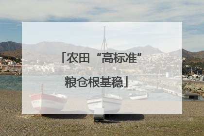 农田“高标准” 粮仓根基稳