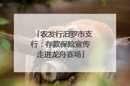 农发行汨罗市支行：存款保险宣传走进龙舟赛场