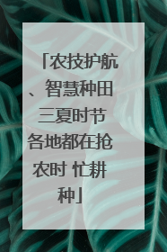 农技护航、智慧种田 三夏时节各地都在抢农时 忙耕种