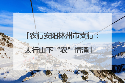 农行安阳林州市支行：太行山下“农”情涌