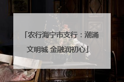 农行海宁市支行：潮涌文明城 金融润初心