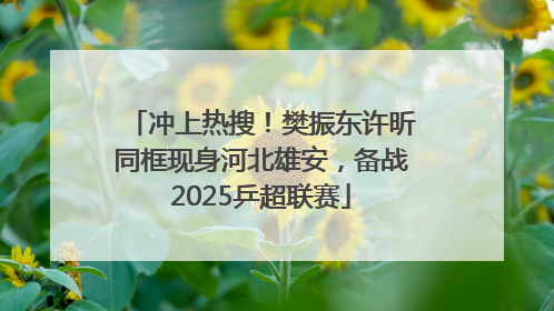 冲上热搜！樊振东许昕同框现身河北雄安，备战2025乒超联赛