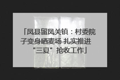 凤县留凤关镇：村委院子变身晒麦场 扎实推进“三夏”抢收工作