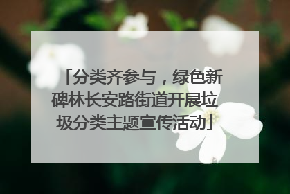 分类齐参与，绿色新碑林长安路街道开展垃圾分类主题宣传活动