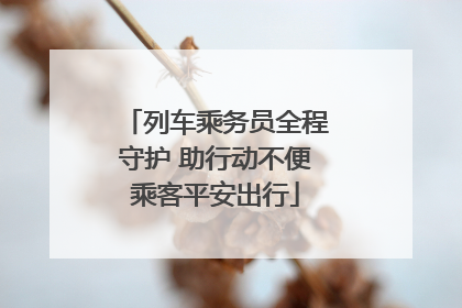 列车乘务员全程守护 助行动不便乘客平安出行