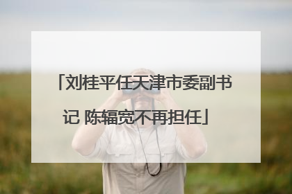 刘桂平任天津市委副书记 陈辐宽不再担任