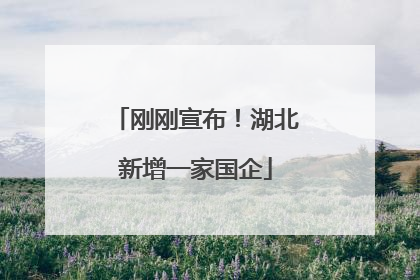 刚刚宣布！湖北新增一家国企