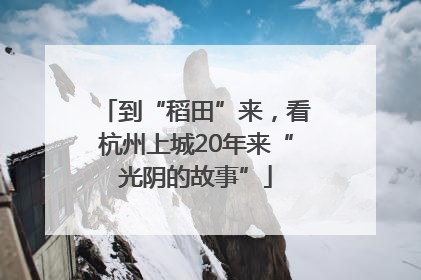到“稻田”来，看杭州上城20年来“光阴的故事”