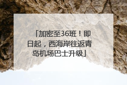 加密至36班！即日起，西海岸往返青岛机场巴士升级
