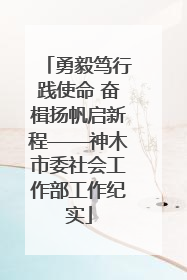 勇毅笃行践使命 奋楫扬帆启新程——神木市委社会工作部工作纪实