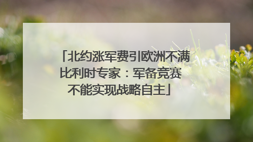 北约涨军费引欧洲不满 比利时专家：军备竞赛不能实现战略自主