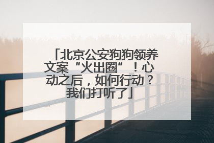 北京公安狗狗领养文案“火出圈”！心动之后，如何行动？我们打听了
