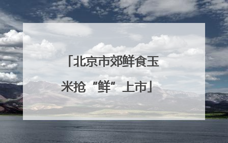 北京市郊鲜食玉米抢“鲜”上市