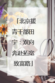 北京援青干部田宁：双向奔赴拓宽致富路