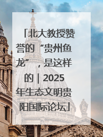 北大教授赞誉的“贵州鱼龙”，是这样的｜2025年生态文明贵阳国际论坛