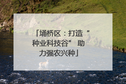 埇桥区：打造“种业科技谷” 助力强农兴种