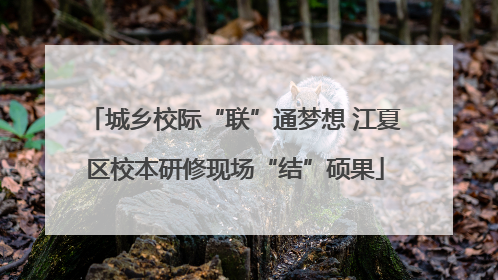 城乡校际“联”通梦想 江夏区校本研修现场“结”硕果
