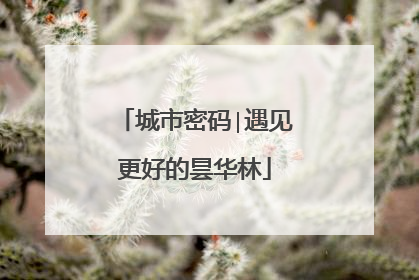 城市密码∣遇见更好的昙华林