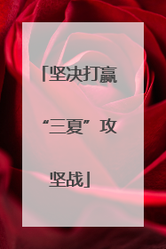 坚决打赢“三夏”攻坚战