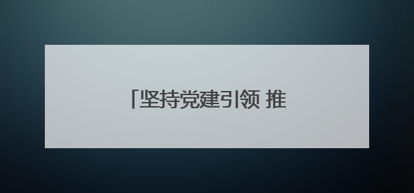坚持党建引领 推进“双融双促”